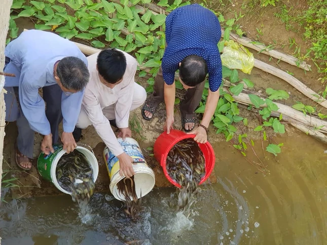 Phóng sanh nhân mùa Vu lan ở Nghệ An, Đồng Tháp ảnh 1 a2.jpg