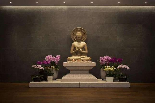 tu vien 300.000 vien gach.jpg