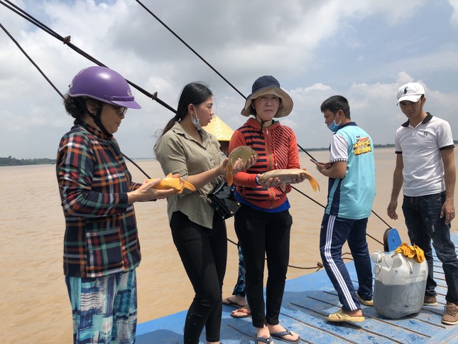 ĐÂY LÀ HOẠT ĐỘNG THƯỜNG NIÊN CỦA ĐOÀN TỪ THIỆN.jpg