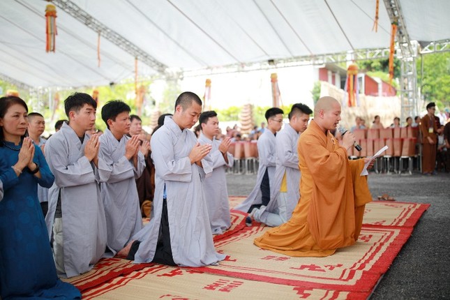 5 - ảnh Vũ Thái.JPG