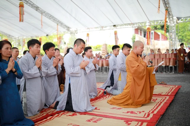 5 - ảnh Vũ Thái.JPG