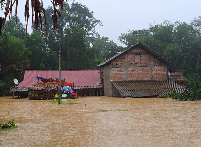 Lụt chạm nóc nhà