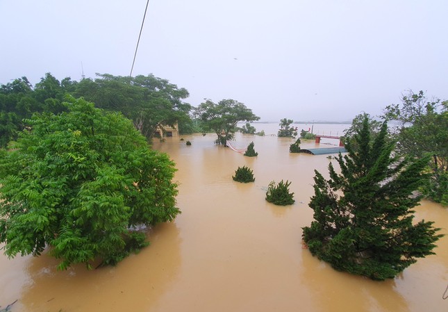 Lụt chạm nóc nhà ở Hà Tĩnh ảnh 1 Lụt chạm nóc nhà