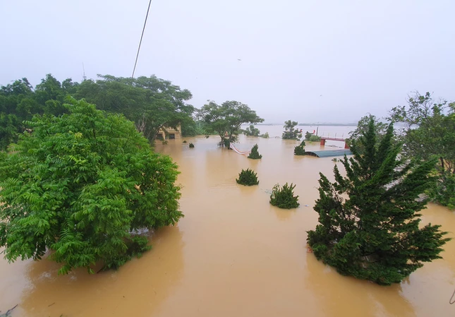 Lụt chạm nóc nhà