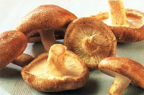 4-thuc-pham-trong-vuon-nha-chong-nhiem-trung-tot-1_jpg.jpg