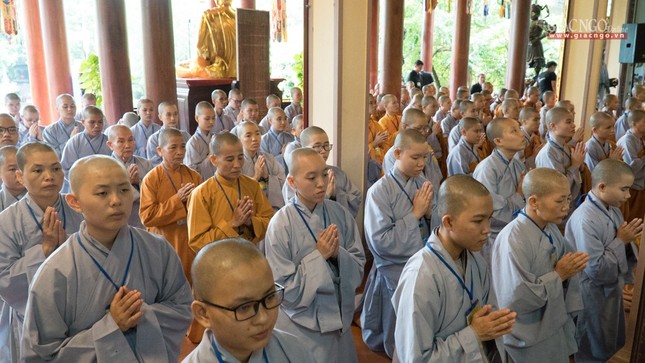 DGD QDuc (18 of 37).jpg