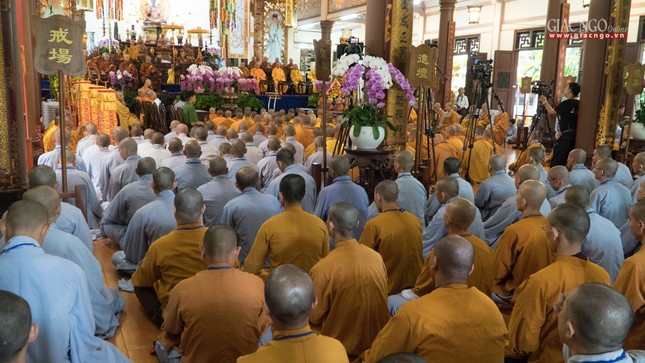 DGD QDuc (21 of 37).jpg