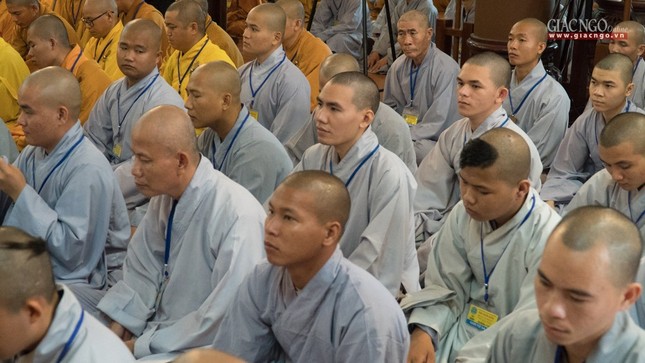 DGD QDuc (23 of 37).jpg