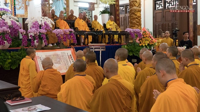 DGD QDuc (27 of 37).jpg