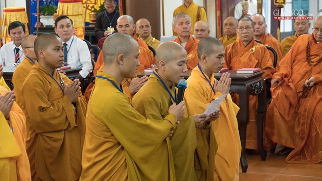 DGD QDuc (31 of 37).jpg