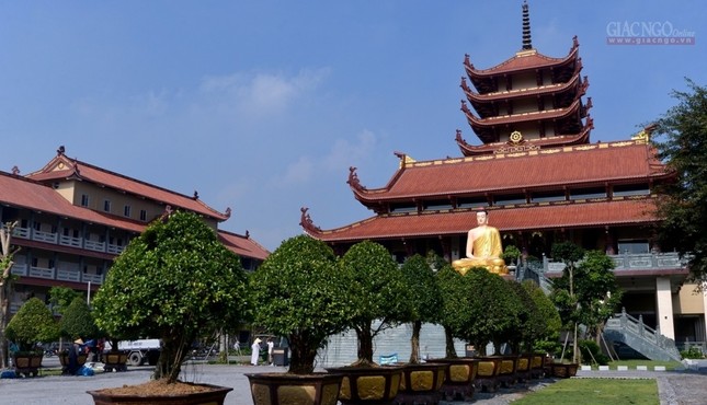 Chua Thanh Tam  (2).JPG