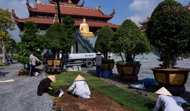 Chua Thanh Tam  (9).JPG