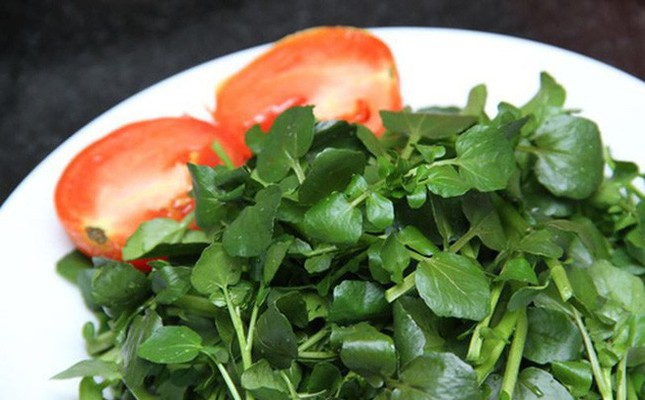 Ăn cải xoong sống coi chừng nhiễm sán lá gan lớn ảnh 1 caixoog.jpg