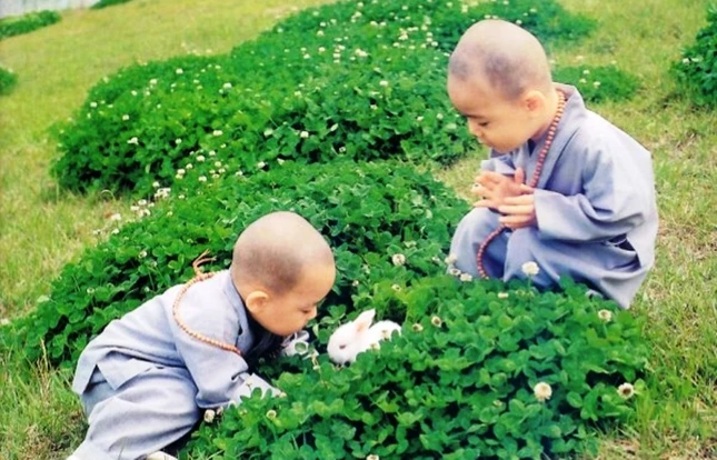 nhung-hinh-anh-chu-tieu-de-thuong (1).jpg