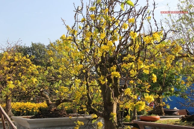 Chùa ở cố đô Huế những ngày cuối năm ảnh 10 12.jpg