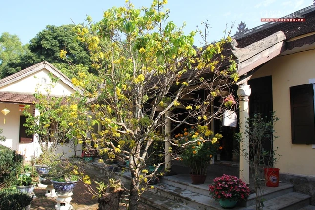 Chùa ở cố đô Huế những ngày cuối năm ảnh 6 8.jpg