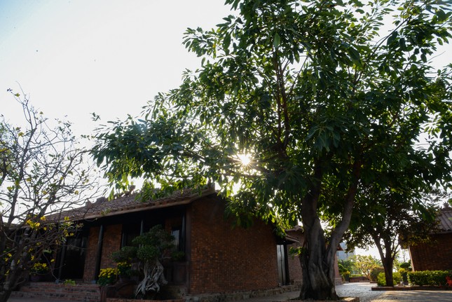 HUY_1398.jpg