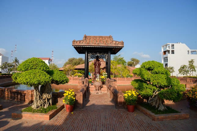 thanhminh 1.jpg
