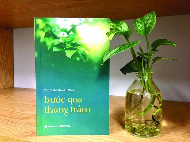 Quyển sách hay dành cho các bạn trẻ trangtretannien2-X.jpg