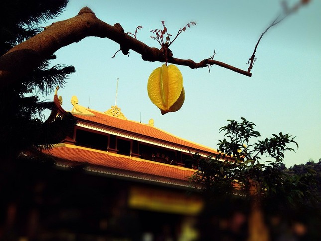 binhminh.jpg