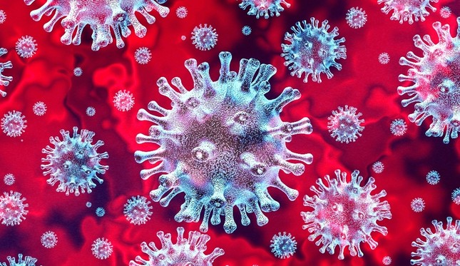 coronavirus-photo-1.jpg
