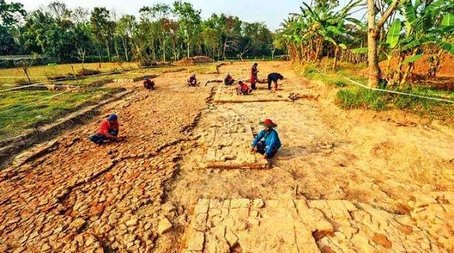 vuon xoai Bangladesh.jpg