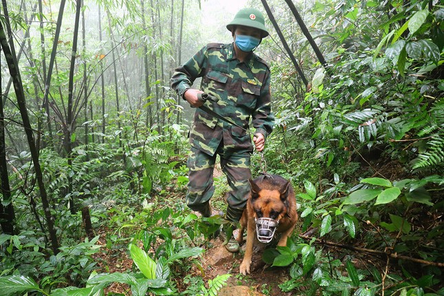 bienphong.jpg