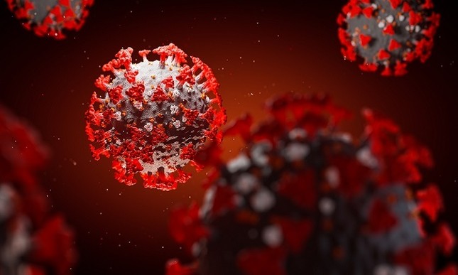 virus.jpg