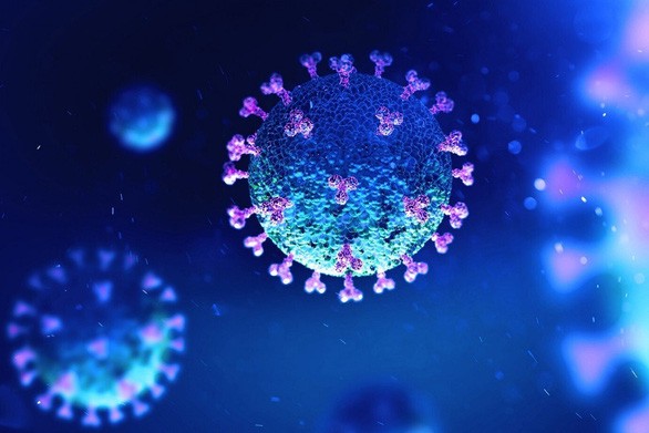 virus.jpg