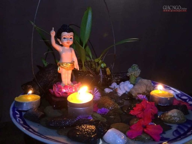 Thiết trí vườn Lâm Tỳ Ni “siêu dễ thương” tại nhà ảnh 3 pd3.jpg
