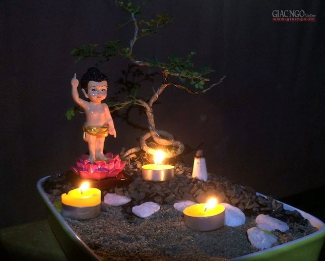 Thiết trí vườn Lâm Tỳ Ni “siêu dễ thương” tại nhà ảnh 4 pd4.jpg