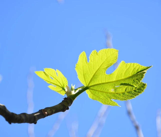 Học chờ đợi ảnh 2 doicho 3.jpg