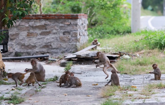 hinh XH 1051 (1).jpg