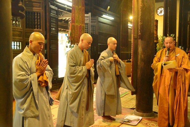 DSC_8202-Copy.jpg