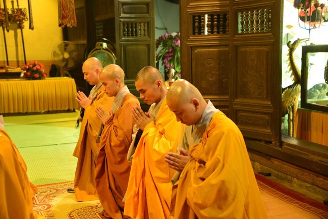 DSC_8295-Copy.jpg