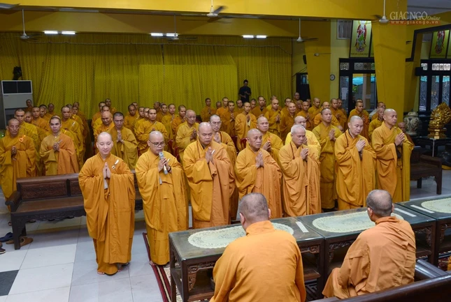 Tham Truong ha (3).jpg