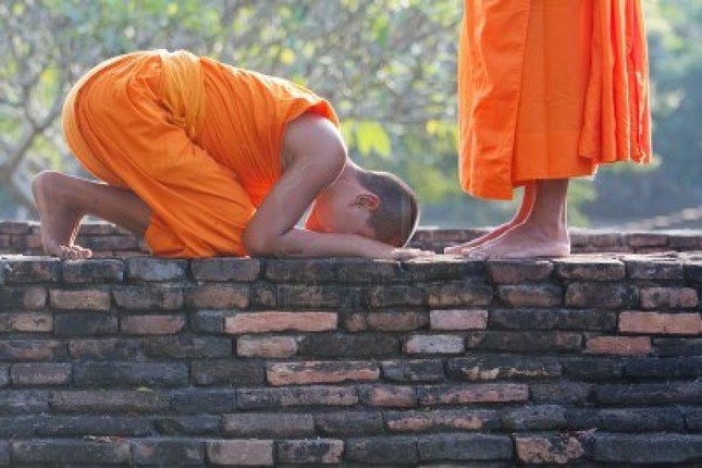 Bảy pháp cung kính làm cho Chánh pháp tăng trưởng ảnh 1 chanhphap.jpg