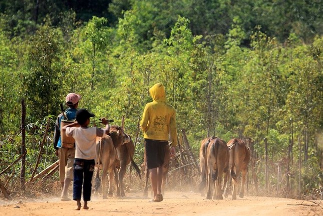 hinh xh Gn 1056 (1).jpg