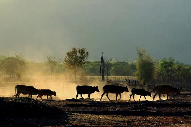 hinh xh Gn 1056 (2).jpg