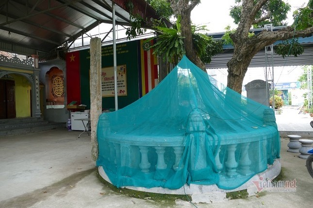 Ni sư giả điên, tìm cách đưa trẻ bụi đời về chùa cưu mang ảnh 2 ni-su-gia-dien-tim-cach-dua-tre-bui-doi-ve-chua-cuu-mang_jpg.jpg