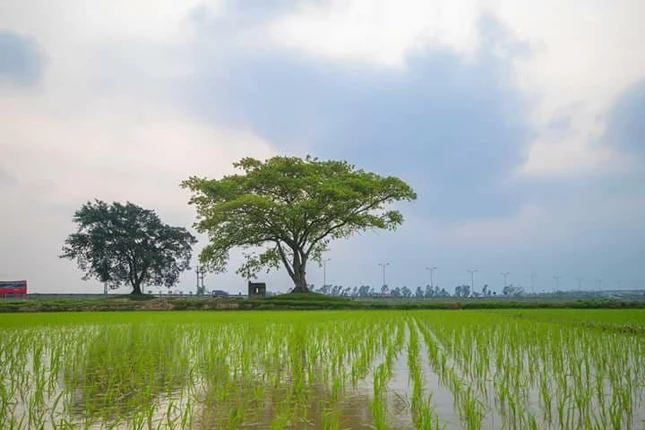 Từ ái: Ngọn lửa sưởi ấm cuộc đời ảnh 1 12a.jpg