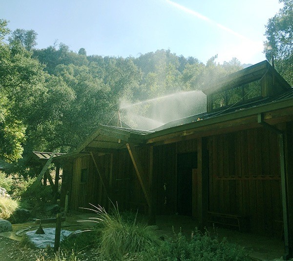 ZMC-dharma-rain.jpg