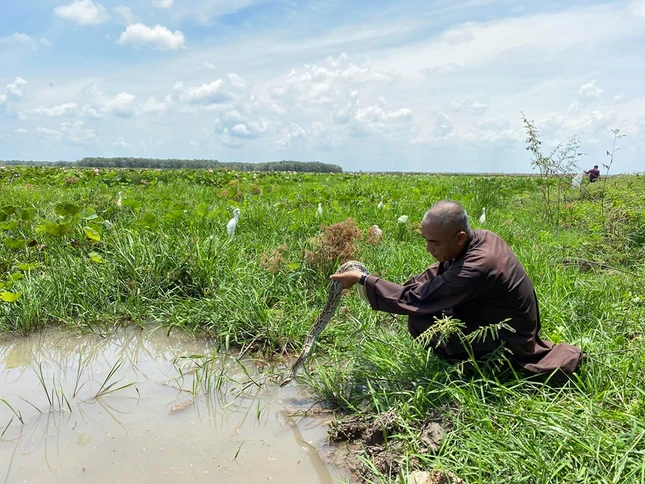 PS ran ve tu nhien.jpg