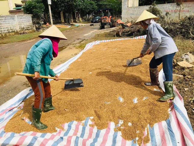 Người dân Quảng Bình khắc phục sau mưa lũ ảnh 3 a3.jpg