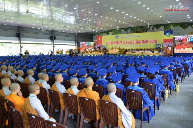 BTN_0078.jpg