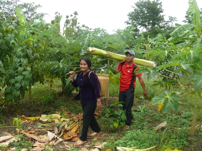 Kỳ II xh GN 1072.JPG