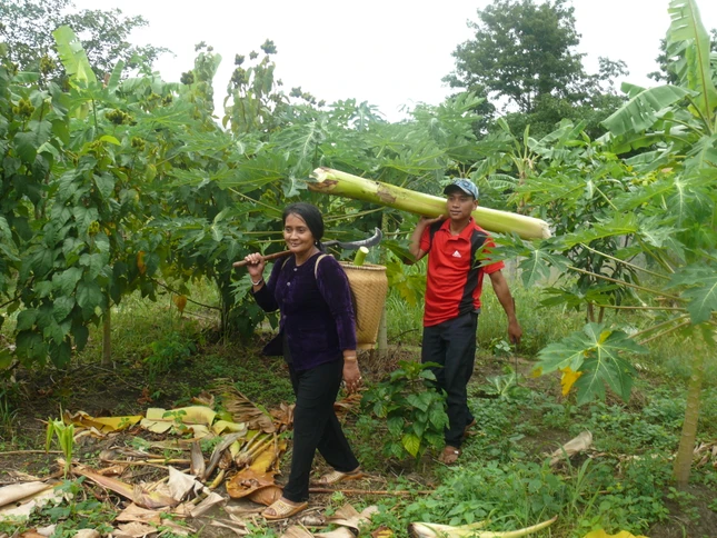 Kỳ II xh GN 1072.JPG