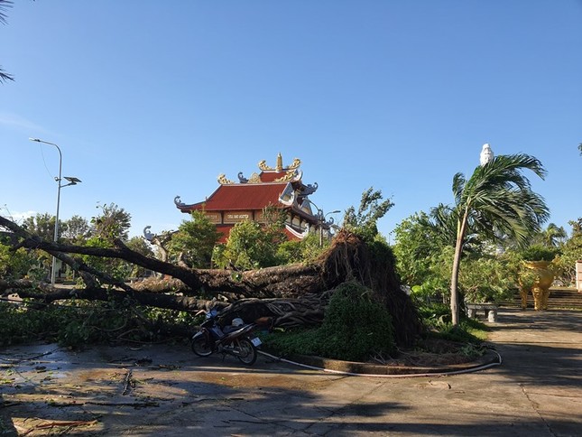 Thêm nhiều chùa ở Quảng Nam bị ảnh hưởng của bão ảnh 2 1qn 2.jpg