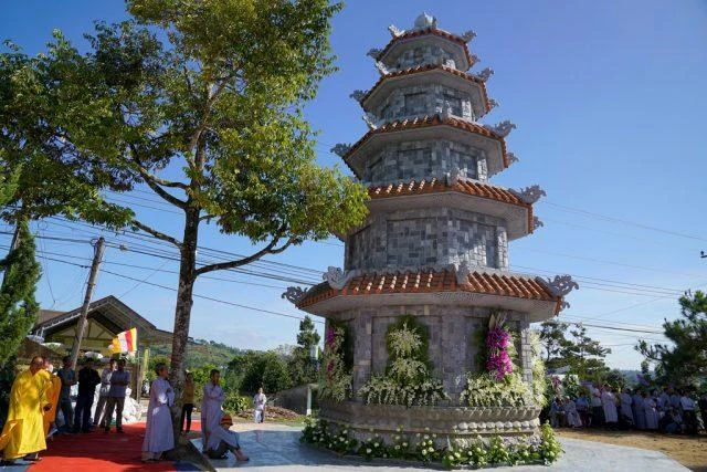 THD3124-640x427 (Copy).jpg