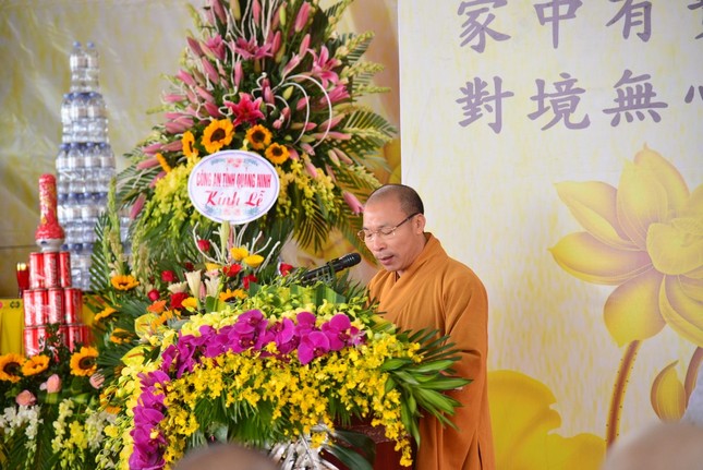 anh thtr 3.jpg